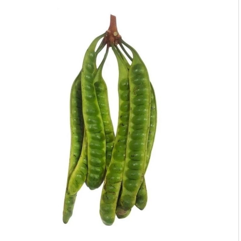 

[KIRIM INSTAN] Pete / Petai 1 Papan