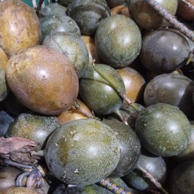 

Markisa Manis Segar 1 Kilo