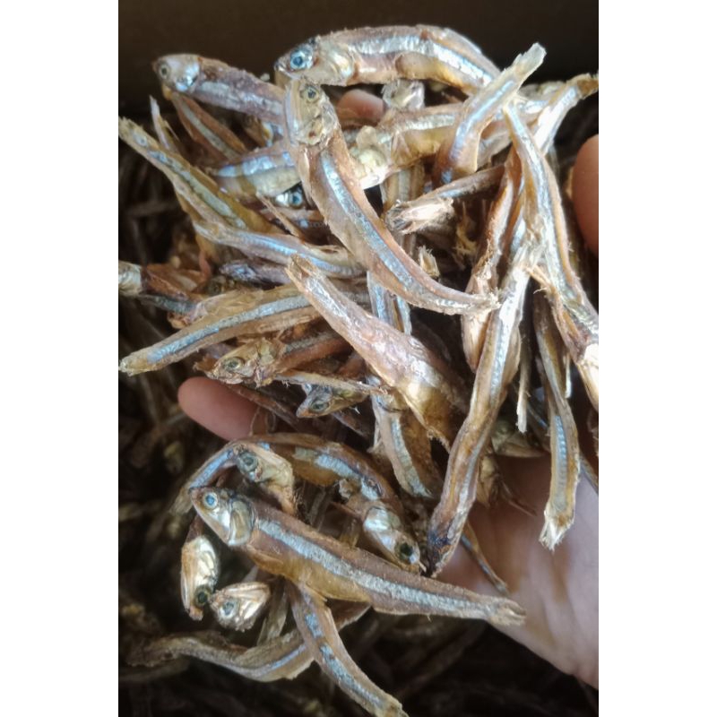 

IKAN ASIN TERI TAWAR KERING 500 GRAM