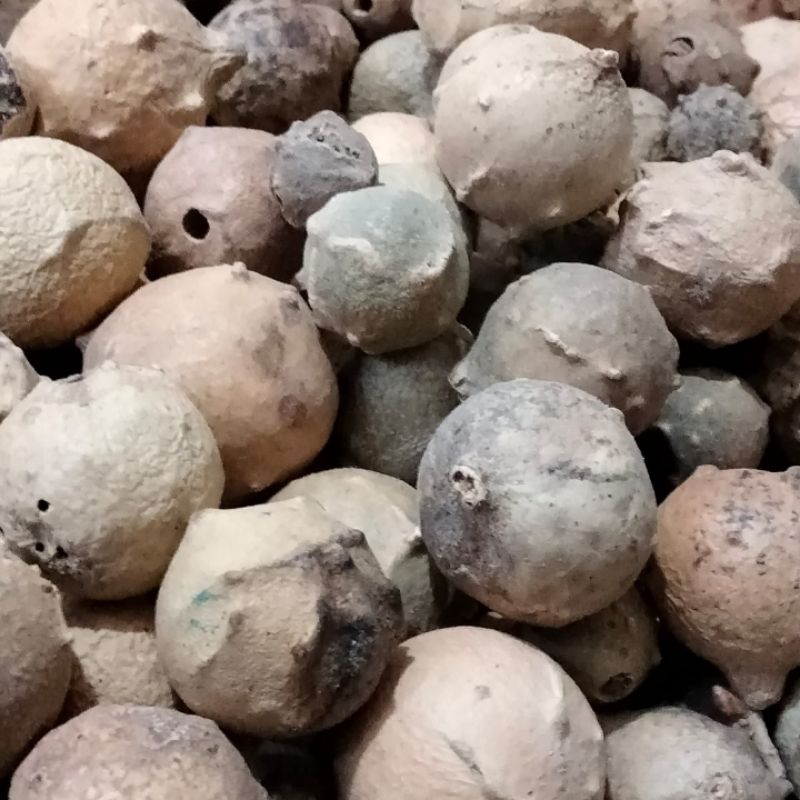 

Adas MAJAKANE/MAJAKANI 1 Kg