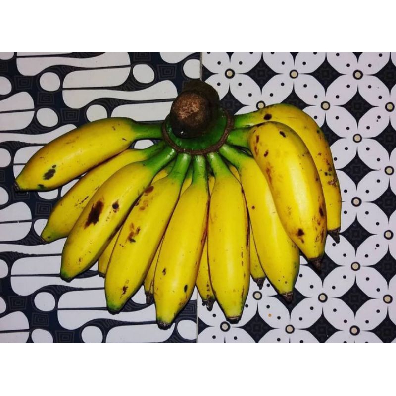 

PISANG ULI 1 SISIR