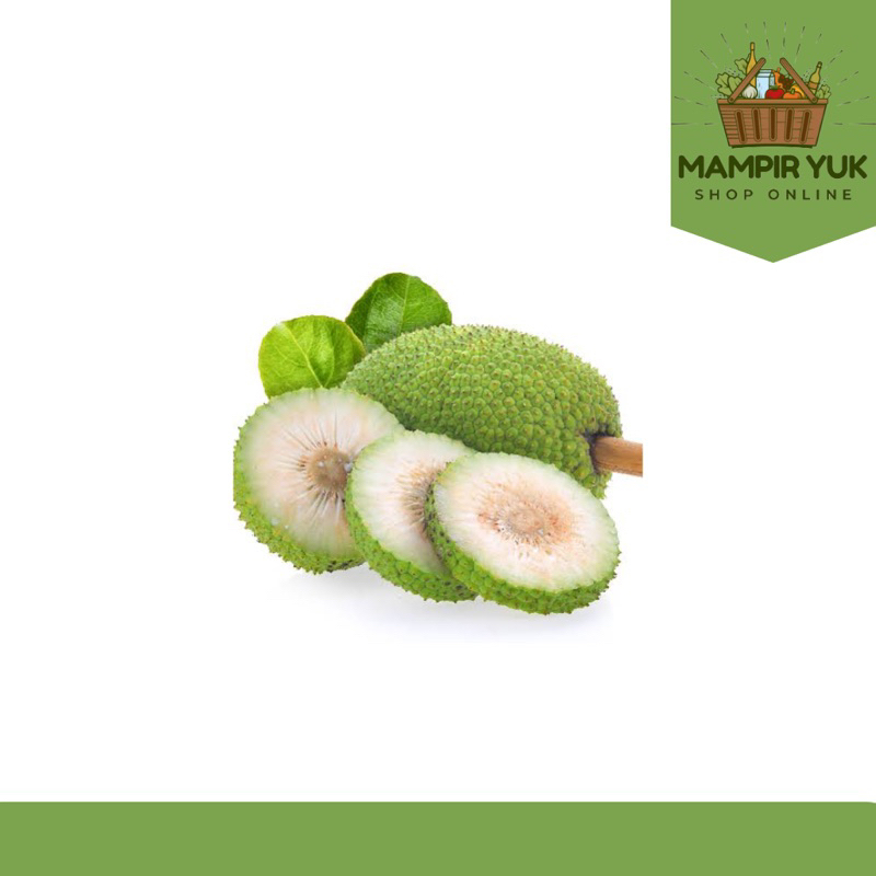 

Buah sukun 1pc 800gr | mampiryuk