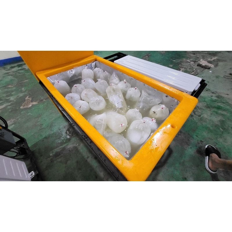 MESIN CETAK BATU ES CEPAT TIPE STANDAR 200KG