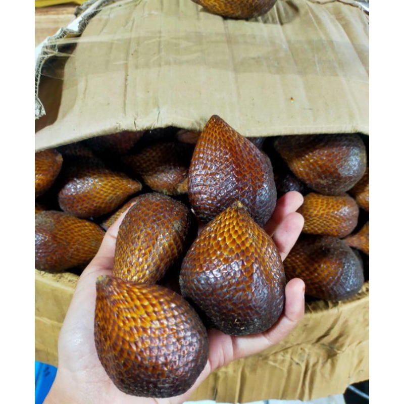 

SALAK PONDOH FRESH SUPER 1KG