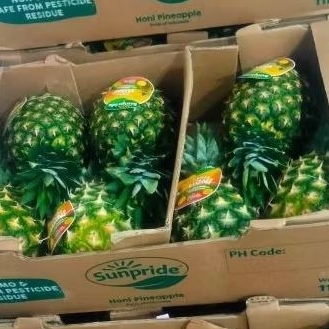 

nanas sunpride
