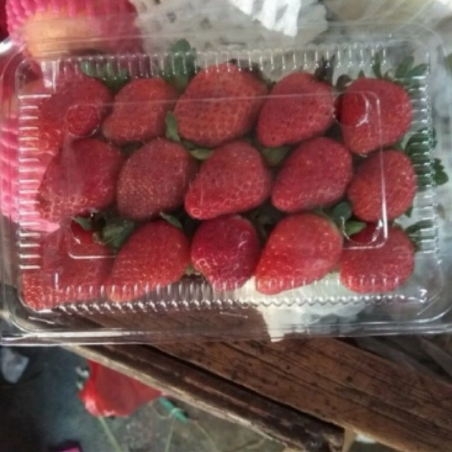 

Buah Strawberry Fresh Lokal Batu 1 mika / Stroberi Fresh Malang/Stoberi Segar/Buah Stroberi Murah