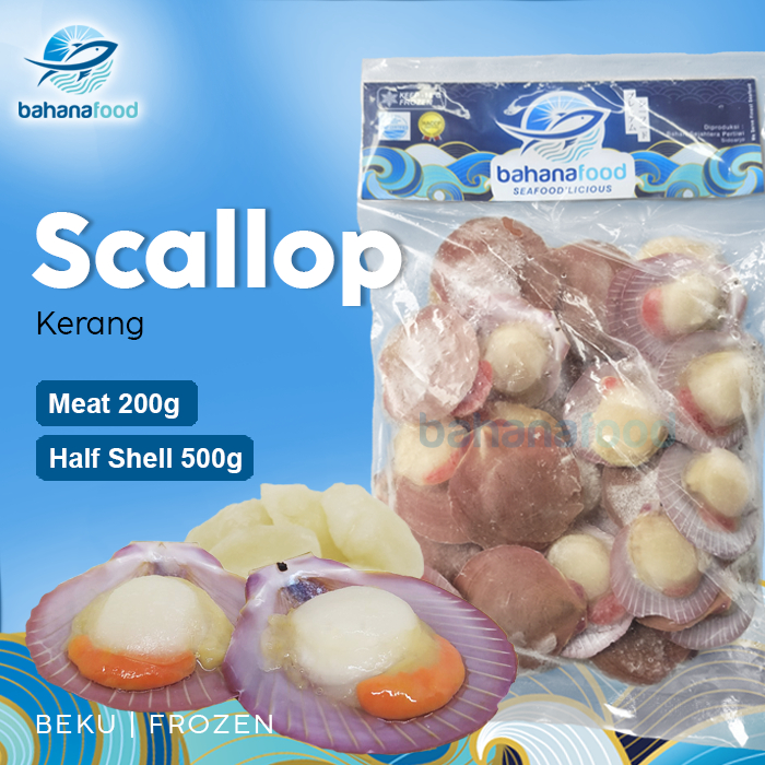 

Frozen Scallop - Kerang Scallop Beku