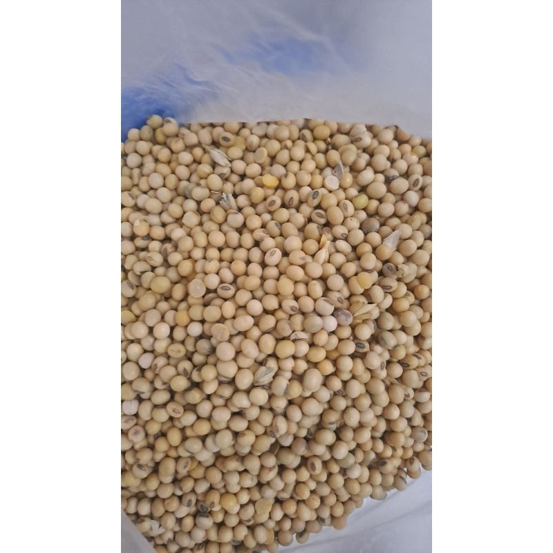 

kedelai import amerika 1 kg