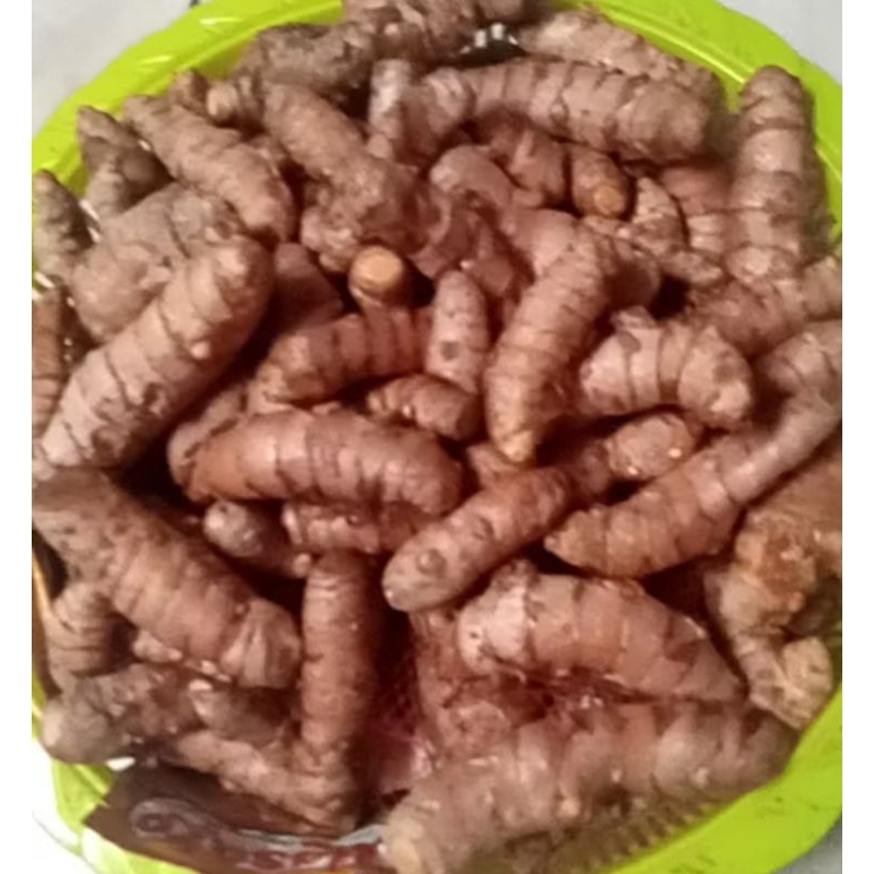 

KUNYIT SEGAR 200 GRAM / KUNIR SEGAR / KUNYIT OBAT LAMBUNG / KUNYIT BUMBU