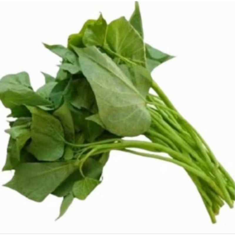 

daun ubi per ikat
