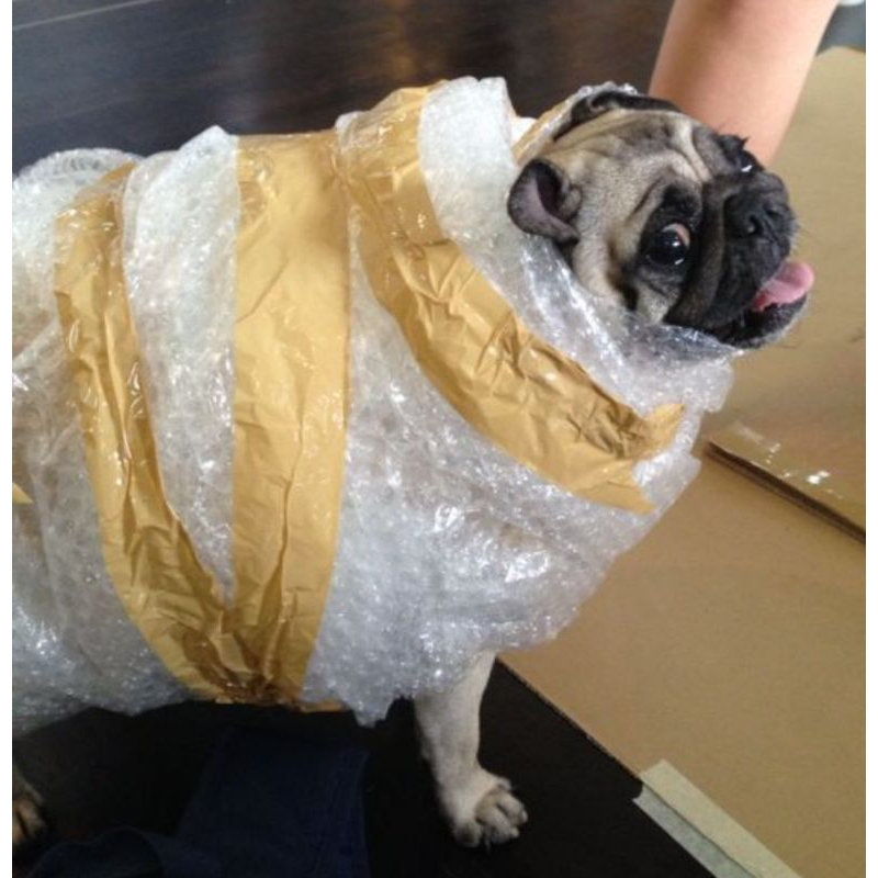 

Tambahan bubble wrap