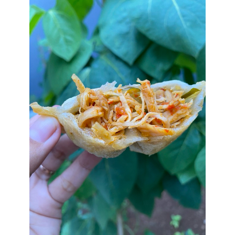 

Cireng isi AYAM SUWIR PEDAS daun jeruk + Bumbu ( isi 6 pcs )