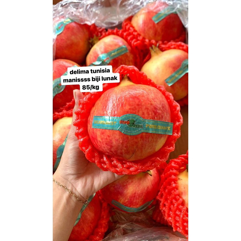 

Delima tunisia softseed