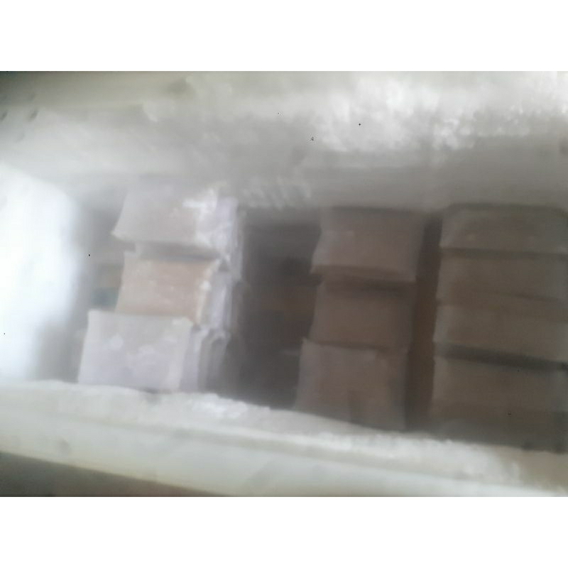

IKAN KAKAP GILING