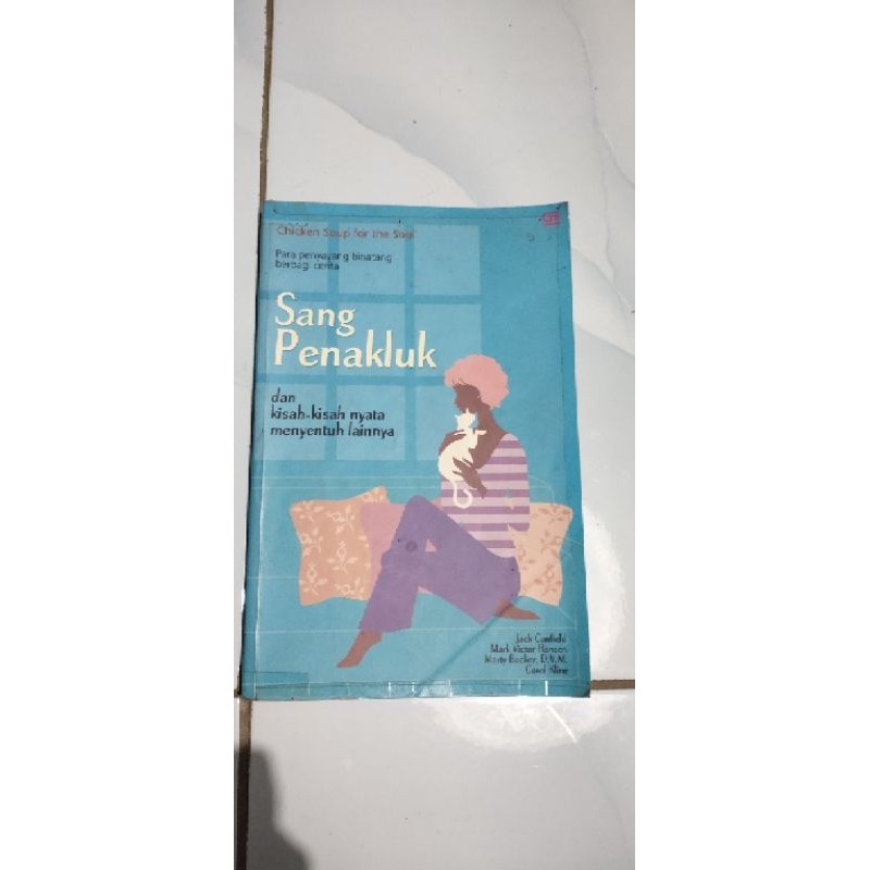 chicken soup for soul