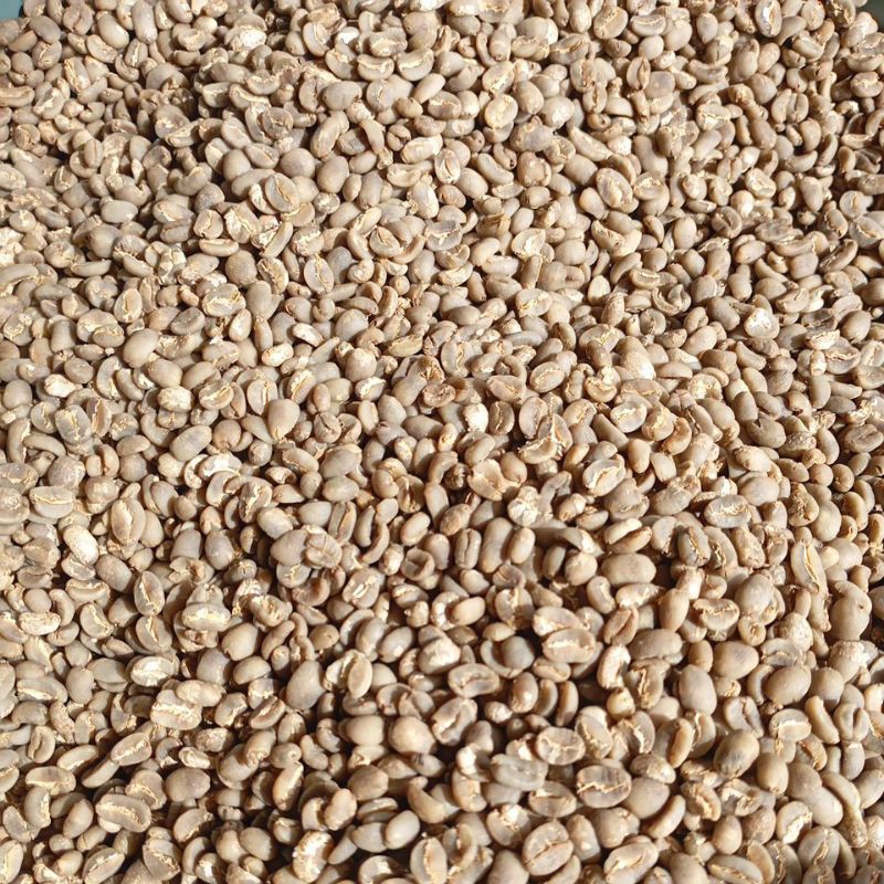 

kopi dpt semi wash