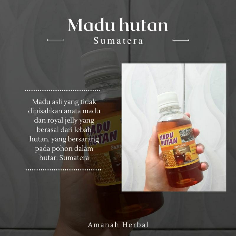 

Madu Hutan Sumatera