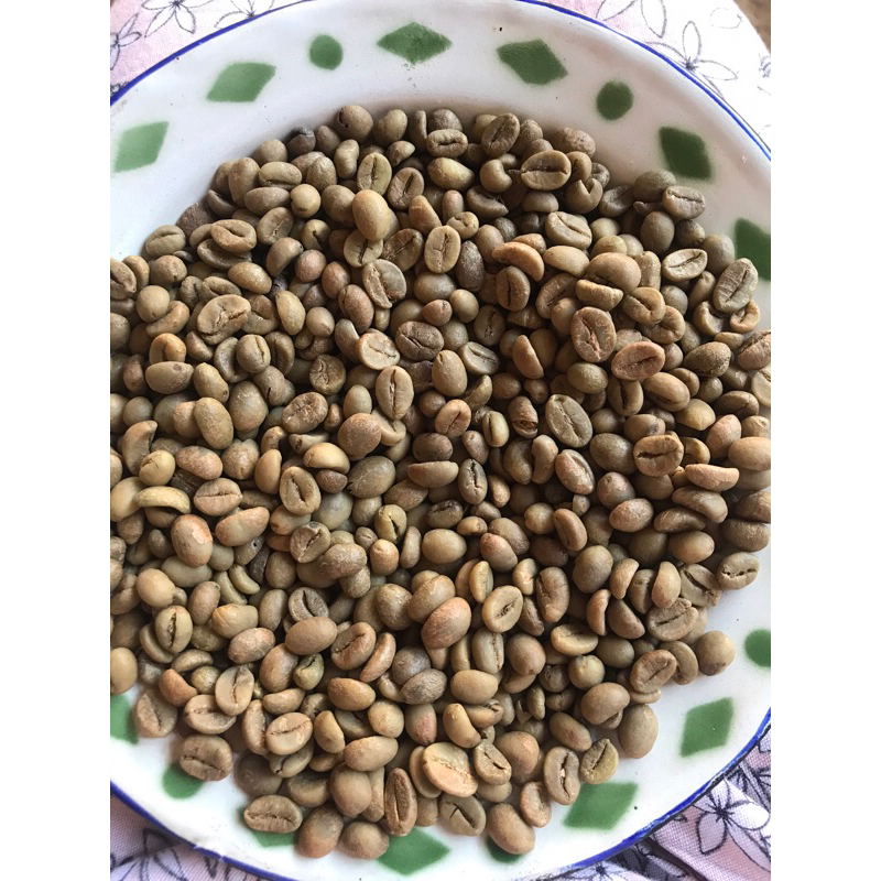 

green beans robusta dampit