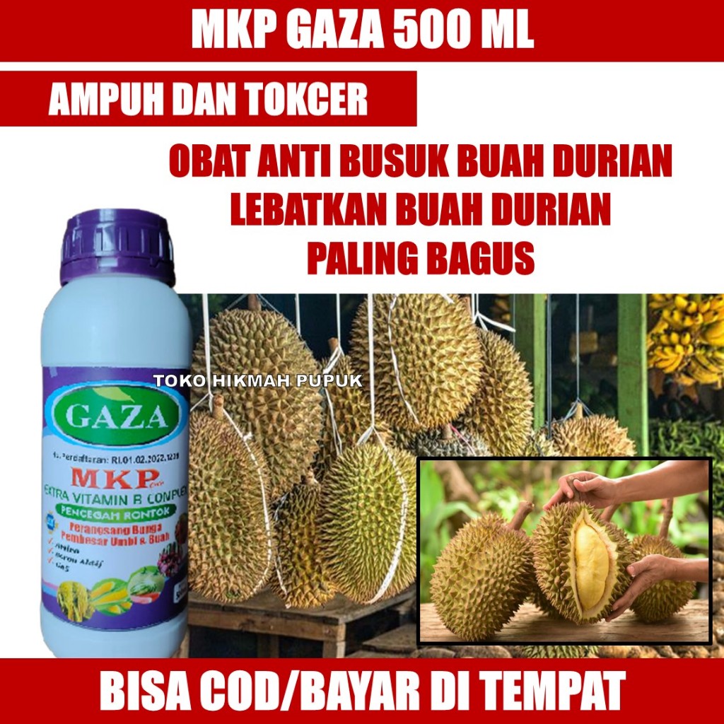 (BAYAR DIRUMAH) OBAT PELEBAT POHON DURIAN HASIL PANEN LEBIH BANYAK PUPUK MKP GAZA - Pupuk Cair Peleb