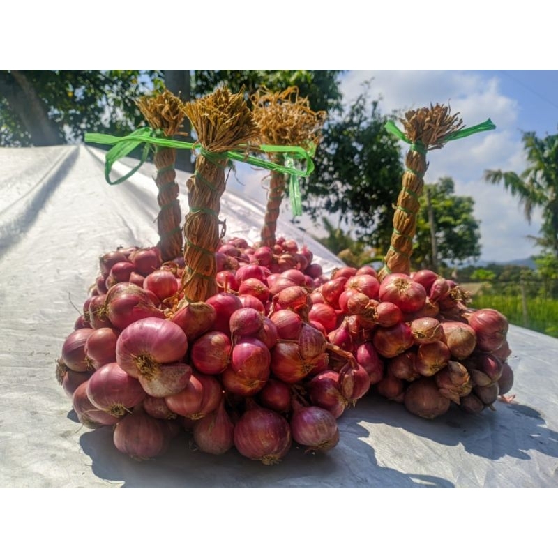 

Bawang Merah Super 500 gr