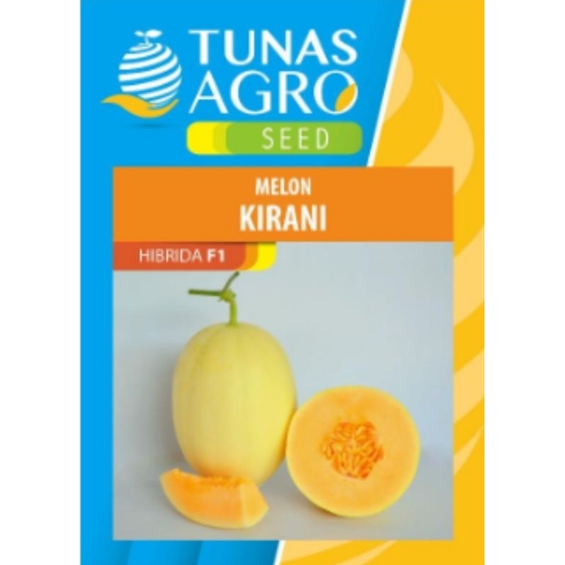 MELON KIRANI F1 || TUNAS AGRO