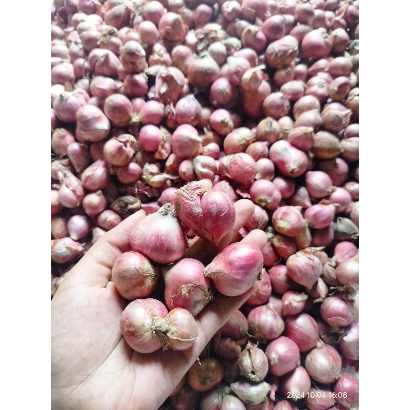 

Bawang Merah 1kg