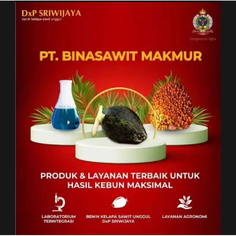 Benih Sawit DxP Sriwijaya 5 Asli ORIGINAL SERTIFIKAT
