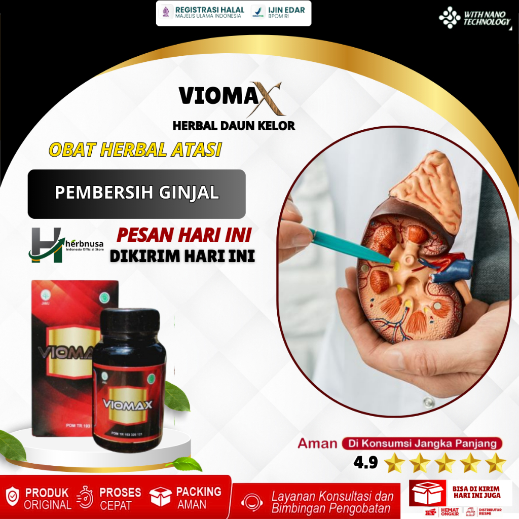 Obat Pembersih Ginjal, Obat Pembersih Ginjal Kotor, Detoksifikasi Ginjal, Pembersih Ginjal Dan Urin,