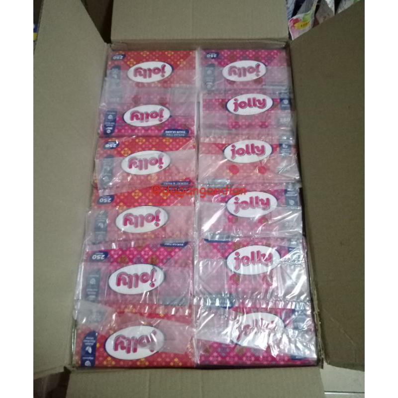 1 Karton Tisu Jolly 250 sheet (48 pcs)