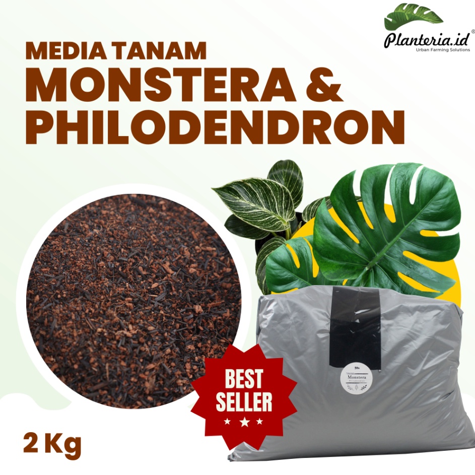 Media tanam monstera dari racikan alami sesuai habitat aslinya 2 kg