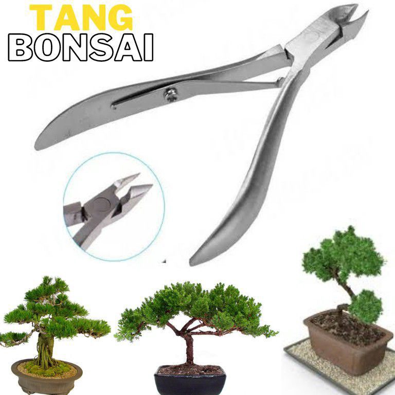 Special Limited Gunting Catok Bonsai Mame  tang potong kawat bonsai