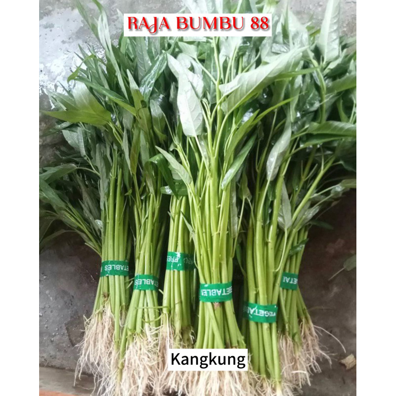 

kangkung 1 ikat