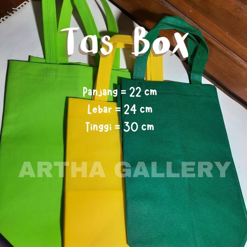 

1 Lusin (12 Pcs) Tas Box 22x24cm Tinggi 30cm / Tas Hajatan / Tas Spunbond / Goodie Bag / Tas Ramah Lingkungan