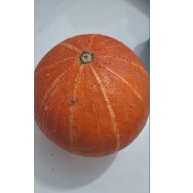 

kaboca orange 1 buah