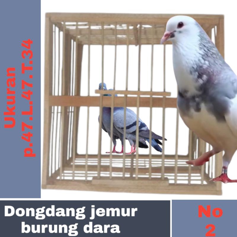 kandang jemur burung dara/kandang kotak no 2