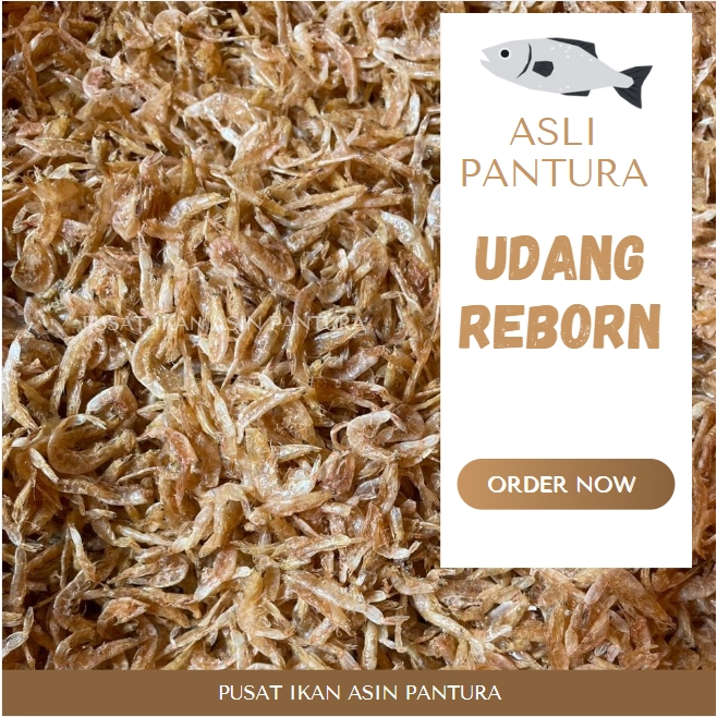 

UDANG REBON PREMIUM