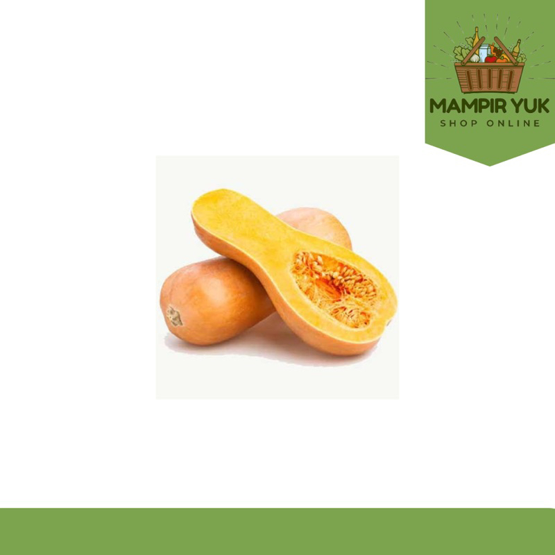 

Labu butternut 900gr-1,2kg 1pcs | mampiryuk