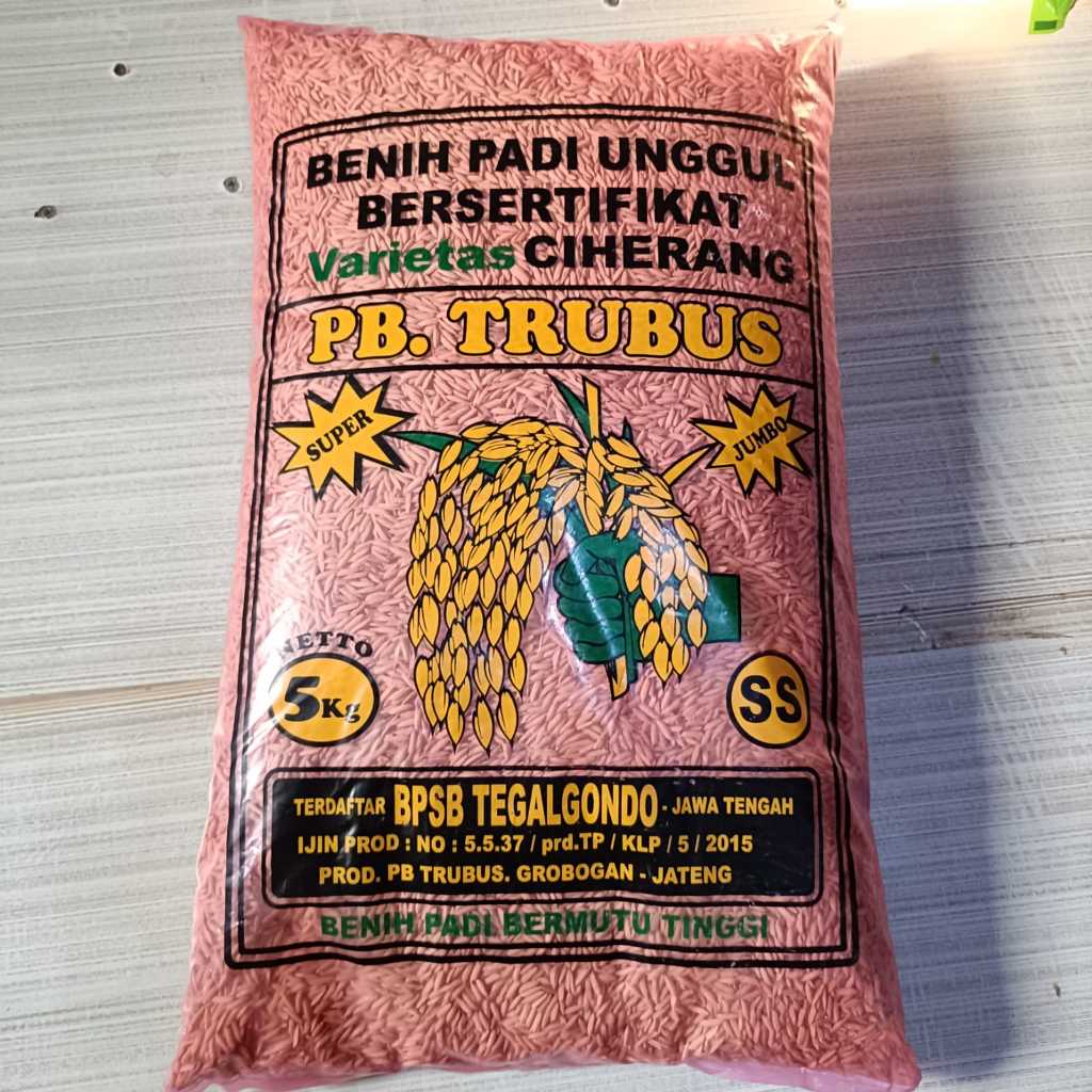 BENIH PADI VARIETAS CIHERANG LABEL UNGU BERAT 5 KG