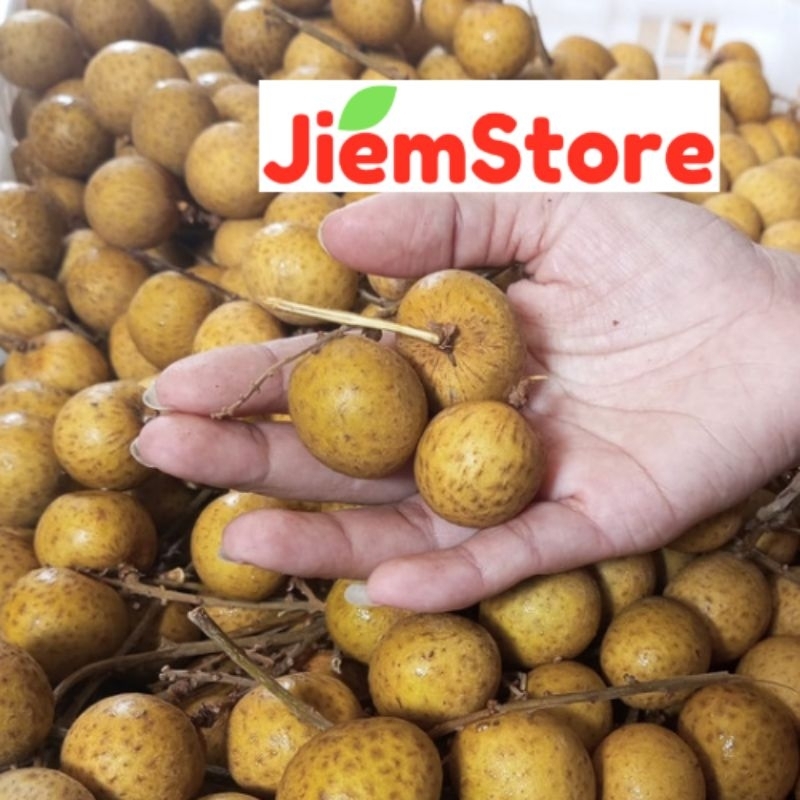 

Lengkeng Longan Kelengkeng Manis Buah Segar Fresh Fruit