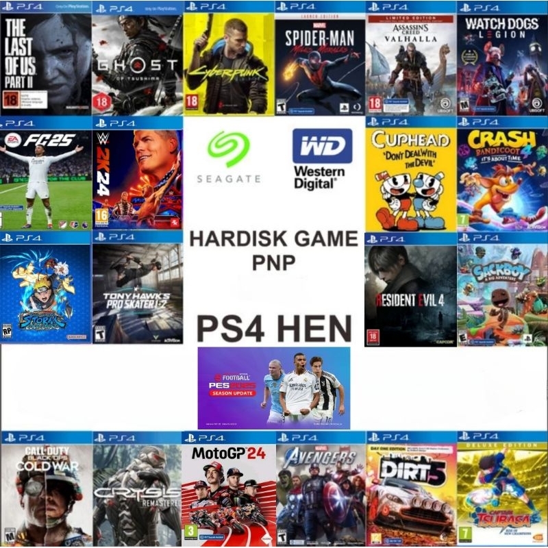 HARDISK PS4 HEN 500GB PLUG AND PLAY