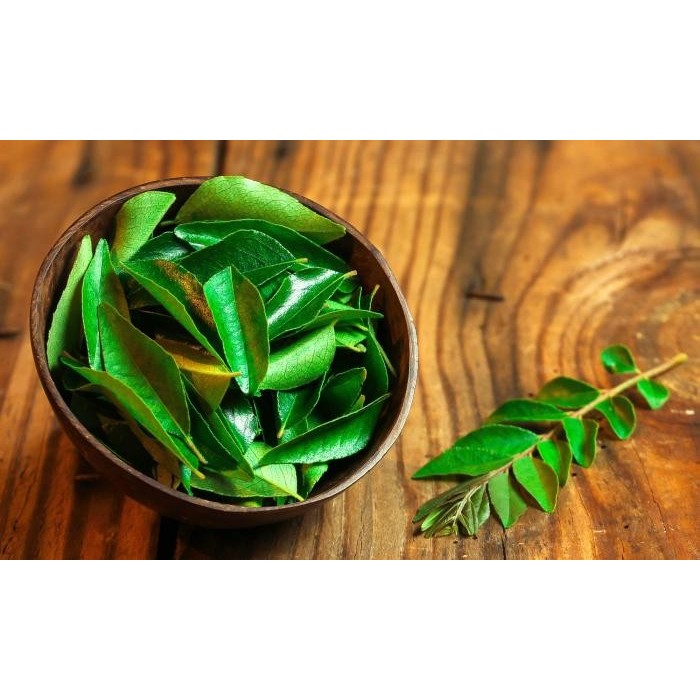 

Daun Kari Segar / Salam Koja - Non Pestisida (Murraya koenigii)
