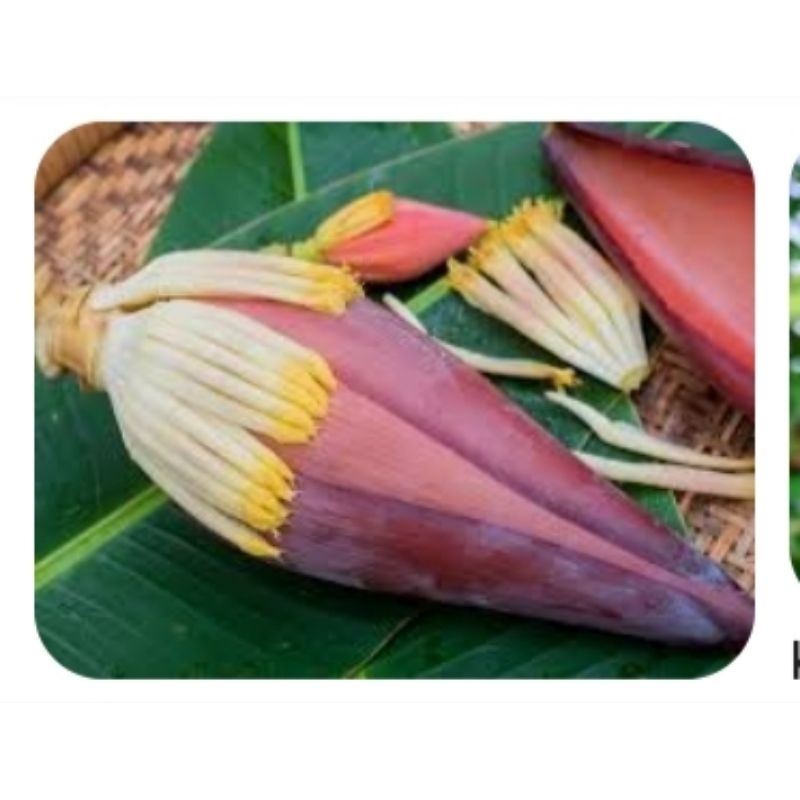 

jantung pisang/ pasar online karuwisi