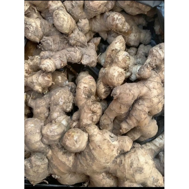 

jahe / pasar online karuwisi