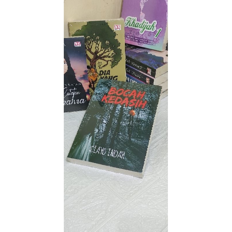 Novel Bocah kedasih karya ciayo indah