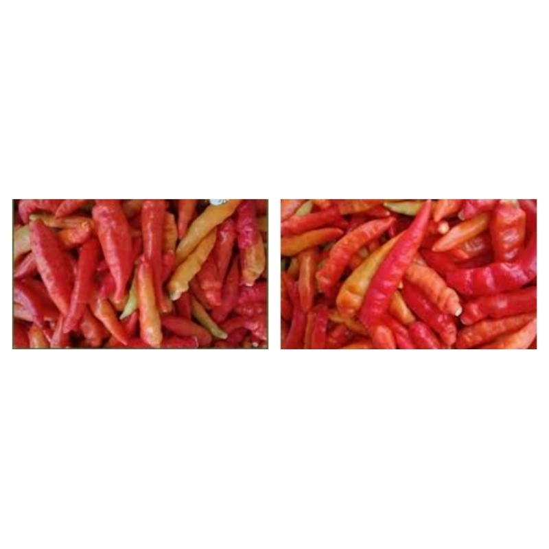 

lombok petik 250g / pasar online karuwisi
