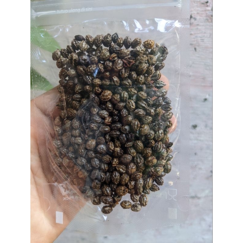 

Biji Pepaya Kering Herbal Alami / Dried Pepaya Seeds