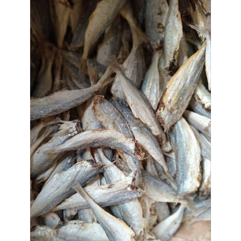 

Ikan kering pedo kepala buntung