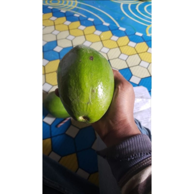 

ABBA - Alpukat Mentega Reguler 1kg (4-5 buah/kg ) Bergaransi