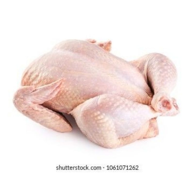 

ayam perent fresh 5kg