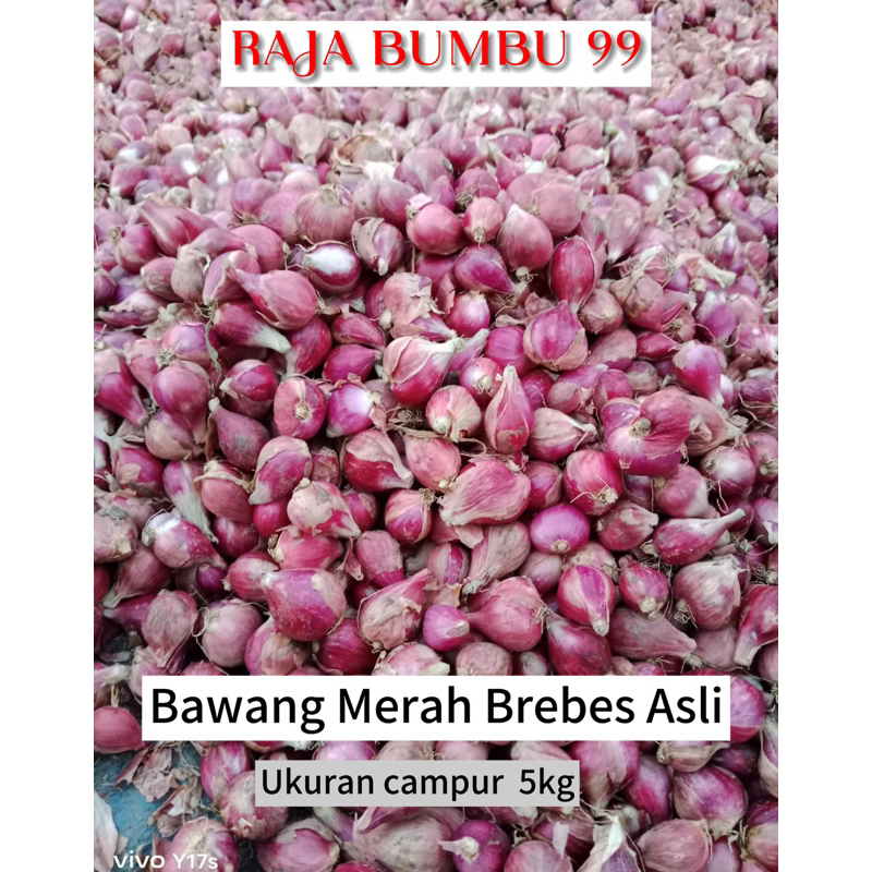 

Bawang Merah Brebes Asli ukuran CAMPUR GROSIR 5kg